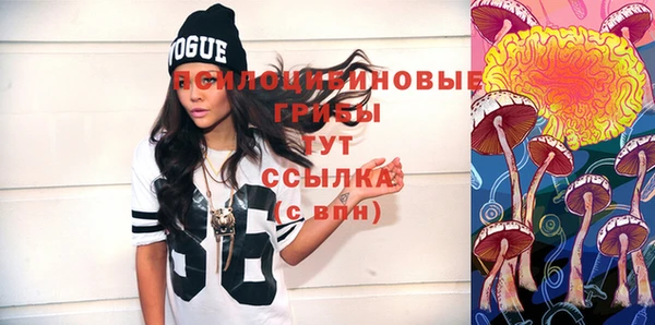 дурь Липки